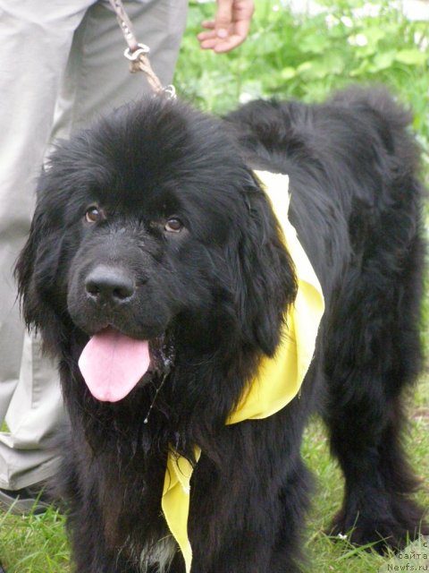 Фотография № 105204