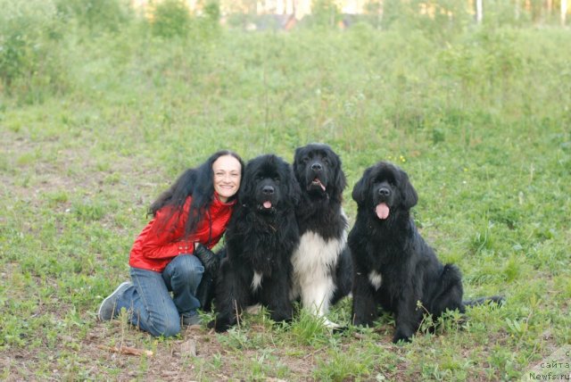 Фотография № 105206