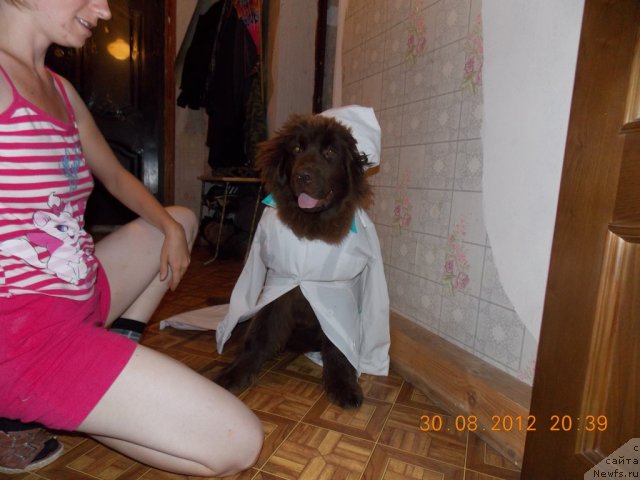 Фотография № 105256