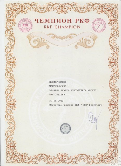 Фото: ньюфаундленд Lesnaja Skazka Korolevskiy Medved (Лесная Сказка Королевский Медведь)