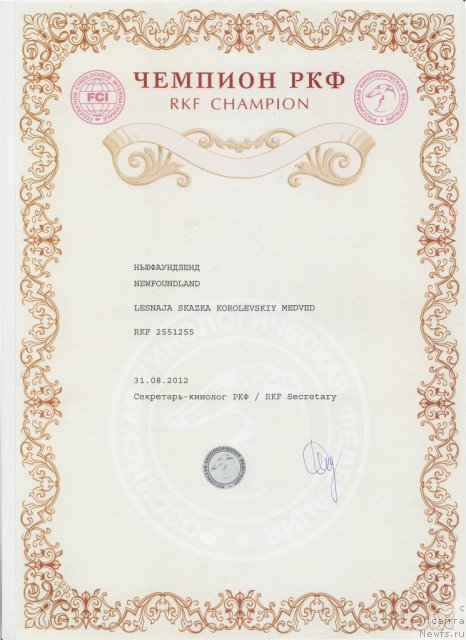 Фото: ньюфаундленд Lesnaja Skazka Korolevskiy Medved (Лесная Сказка Королевский Медведь)