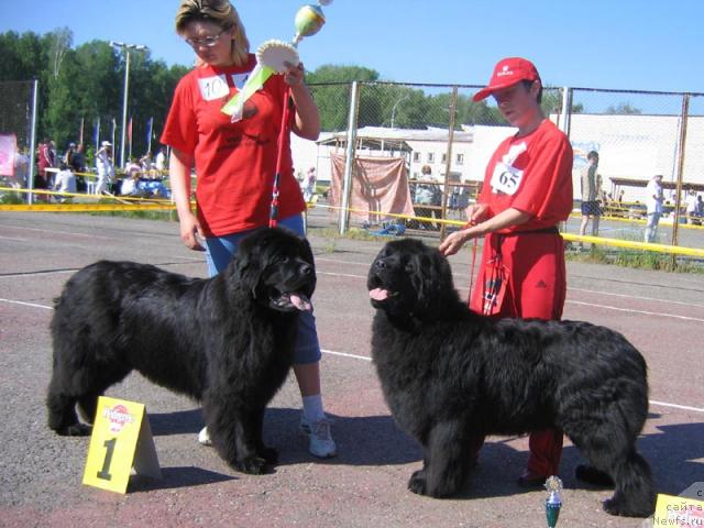 Фотография № 10530