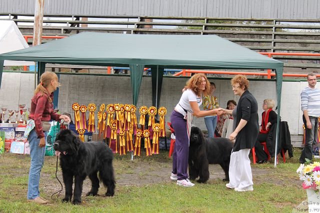 Фотография № 105314