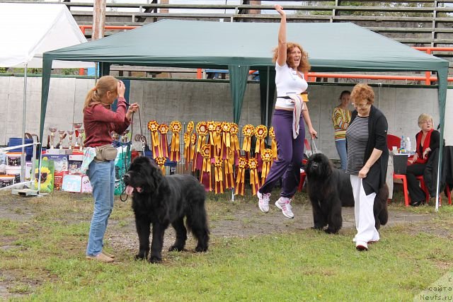 Фотография № 105315