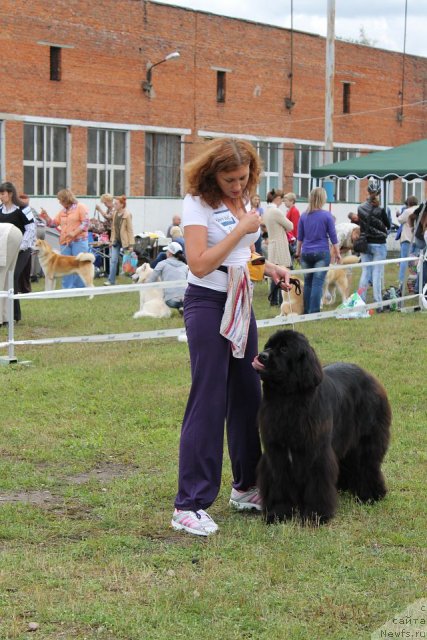 Фотография № 105316