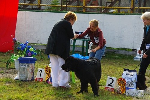 Фотография № 105321