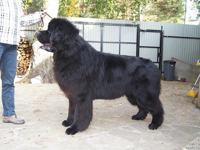 Фотография № 105353