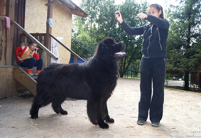 Фотография № 105355