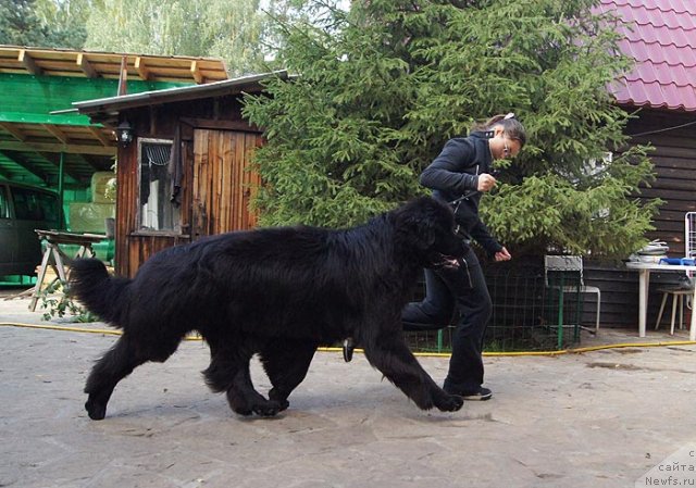 Фотография № 105358