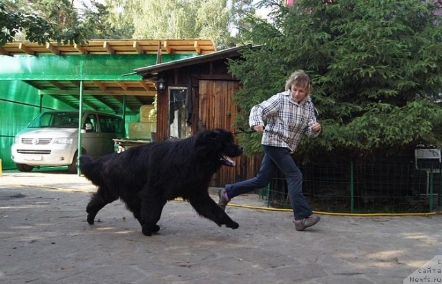 Фотография № 105359