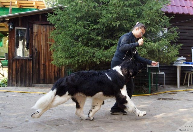 Фотография № 105360