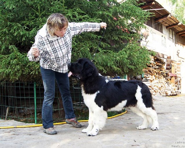 Фотография № 105366