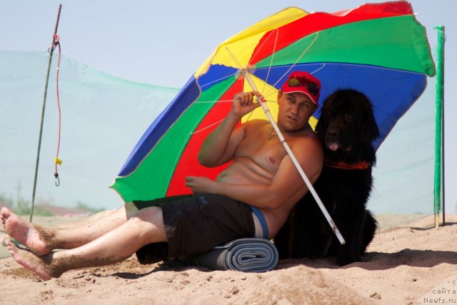 Фотография № 105424