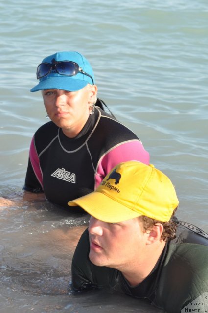 Фотография № 105430