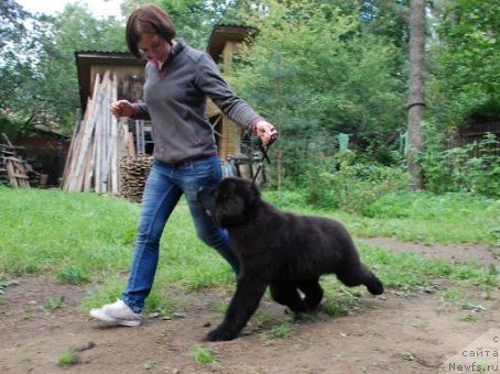 Фотография № 105455