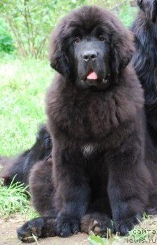 Фотография № 105456