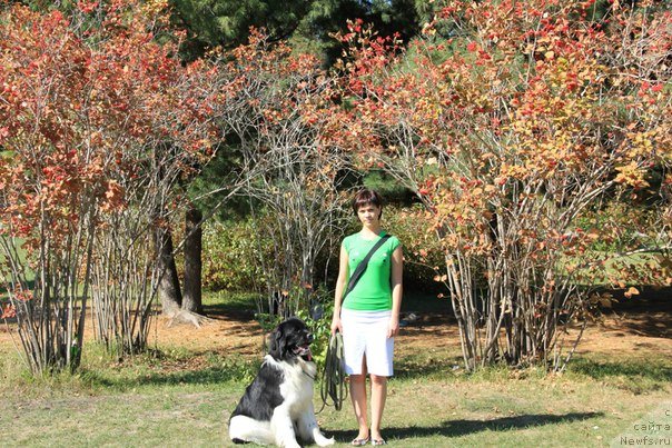 Фотография № 105477