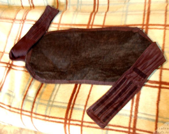 Фотография № 105503