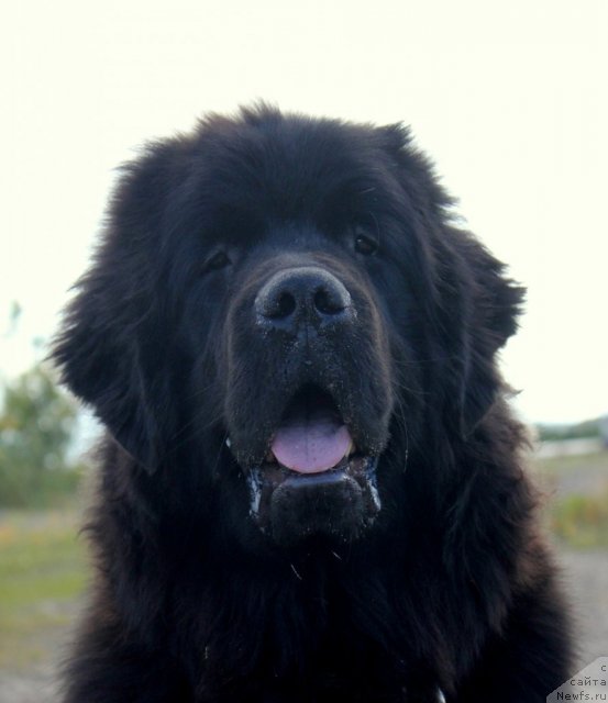 Фотография № 105557