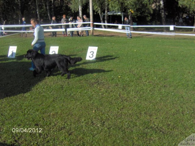 Фотография № 105610