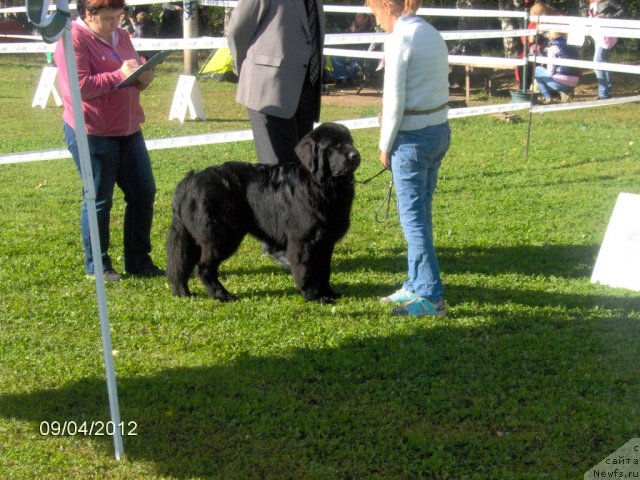 Фотография № 105611