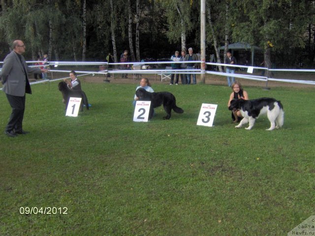 Фотография № 105613