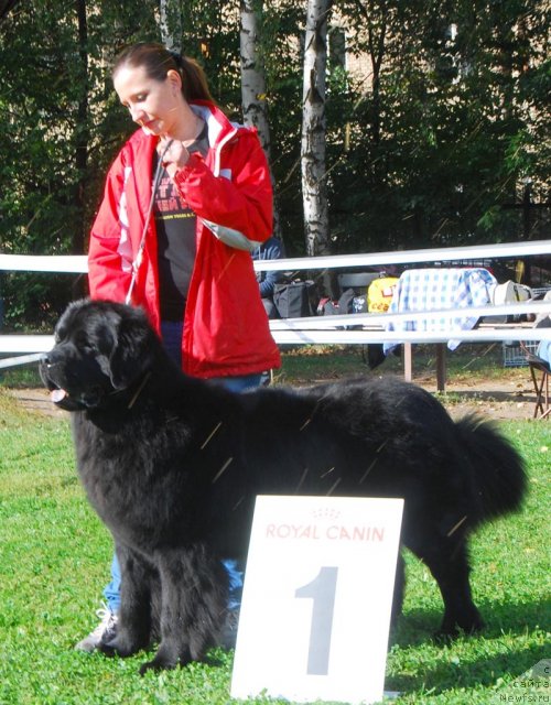 Фотография № 105628