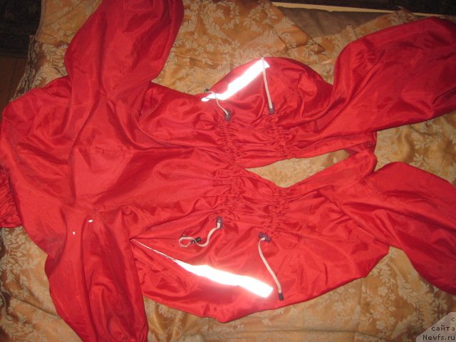 Фотография № 105641