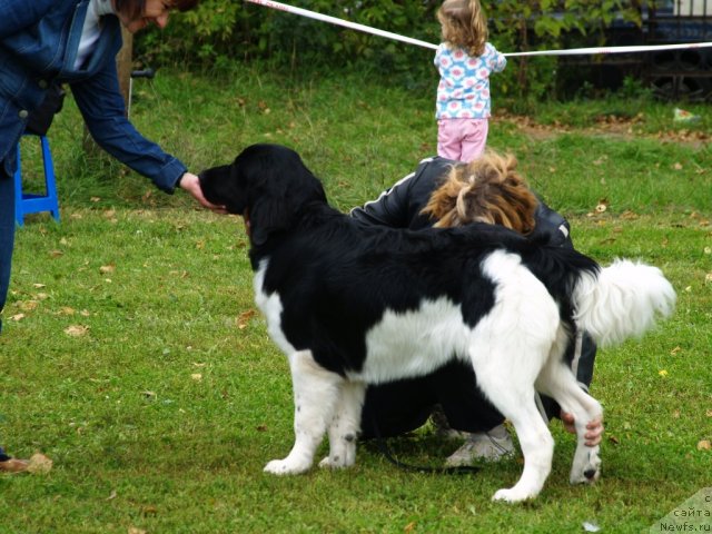 Фотография № 105642