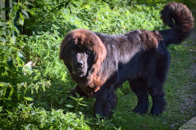 Фотография № 105643