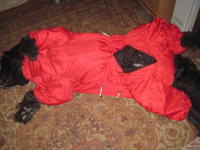 Фотография № 105644