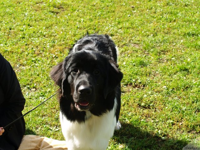 Фотография № 105649