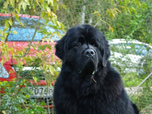 Фотография № 105652