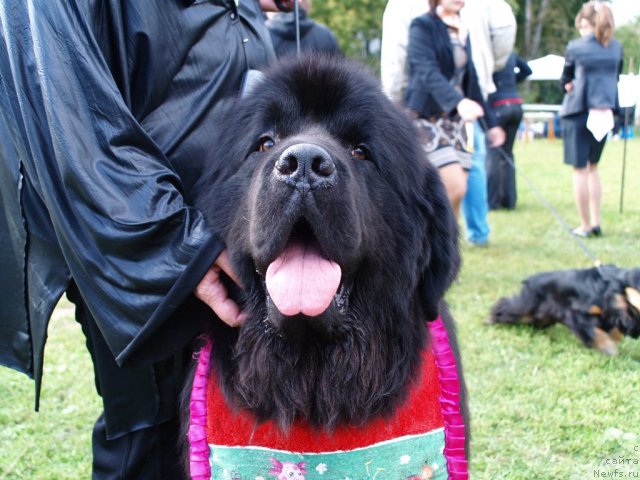 Фотография № 105653