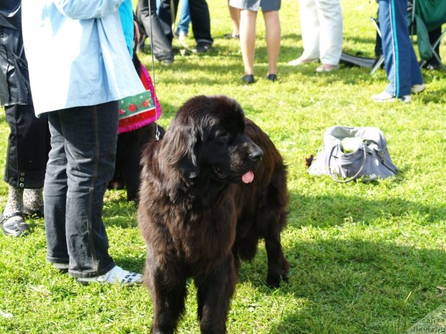 Фотография № 105655