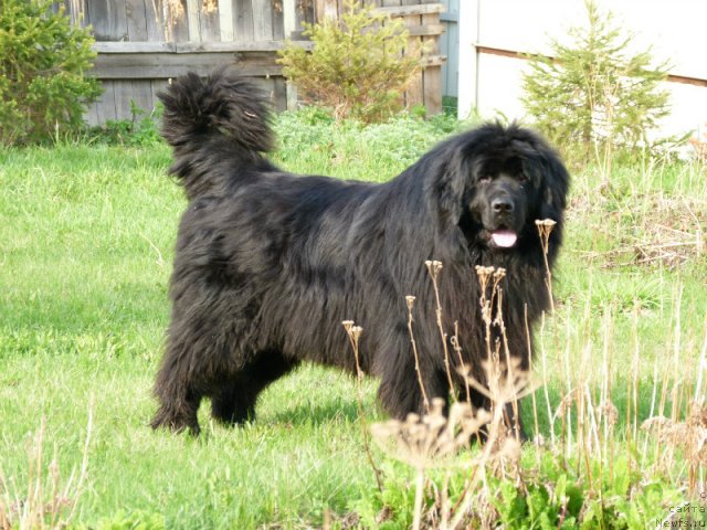 Фотография № 105659