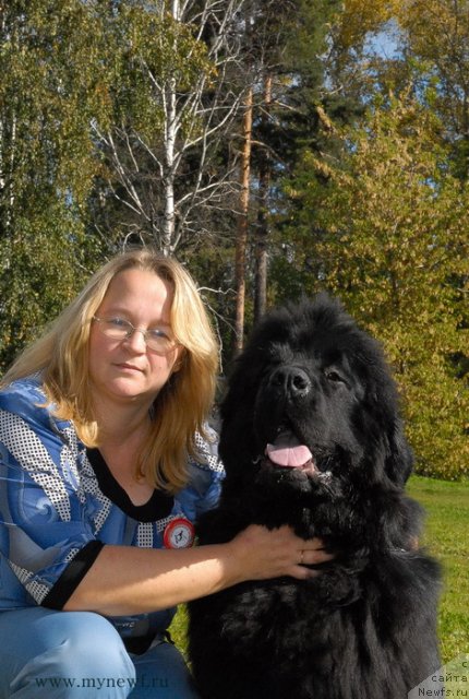 Фото: ньюфаундленд Sent Djons Hummer (Сент Джонс Хаммер)