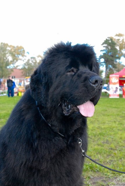 Фотография № 105697