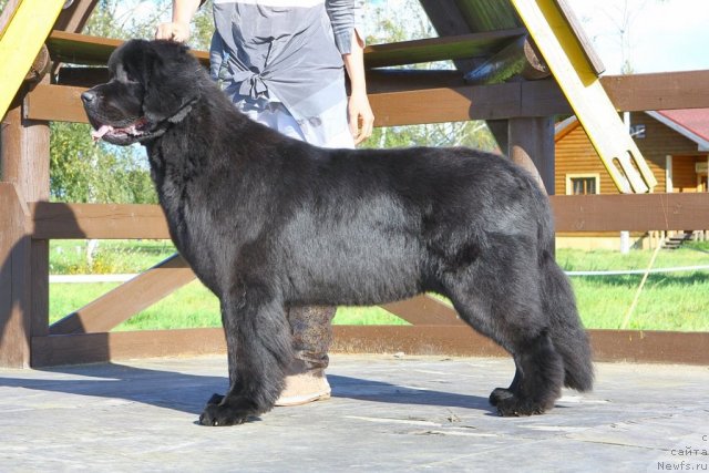 Фотография № 105715