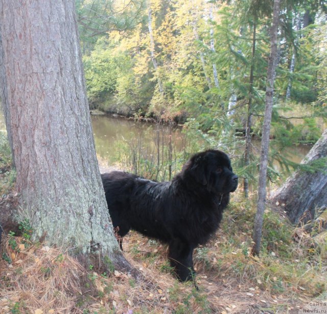 Фотография № 105737