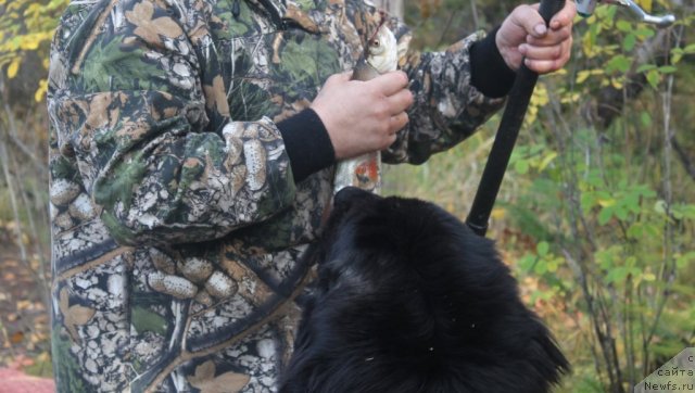 Фотография № 105738