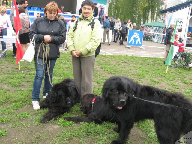 Фото: Лиля Ульянова, ньюфаундленд Akin Soul Sofiya (Акин Соул София), ньюфаундленд Aleksandriya Moya Radost' (Александрия Моя Радость), Galiya Gizatullina (Галия Гизатуллина), ньюфаундленд Kaiden Playful (Кайден Плейфул)