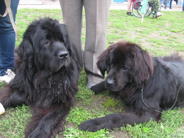 Фотография № 105747