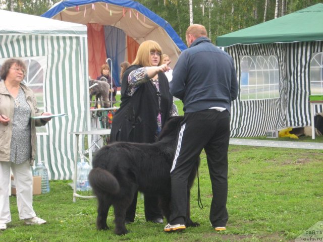 Фотография № 105749