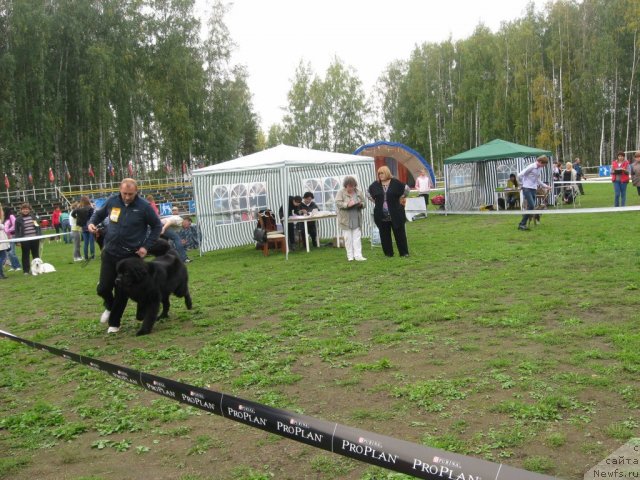 Фото: [d11670:Шумка] с папой