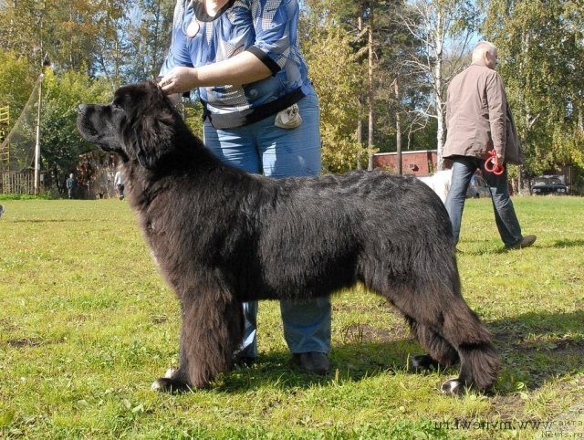 Фотография № 105768