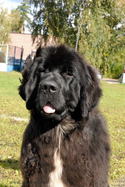 Фотография № 105771