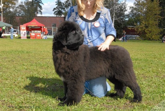 Фотография № 105776