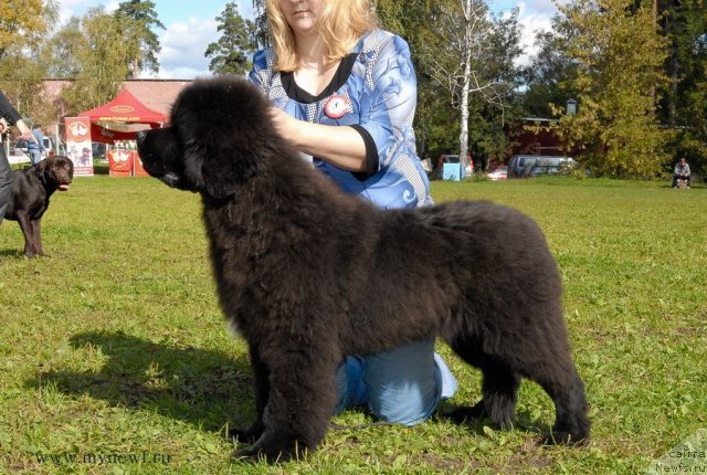 Фотография № 105777