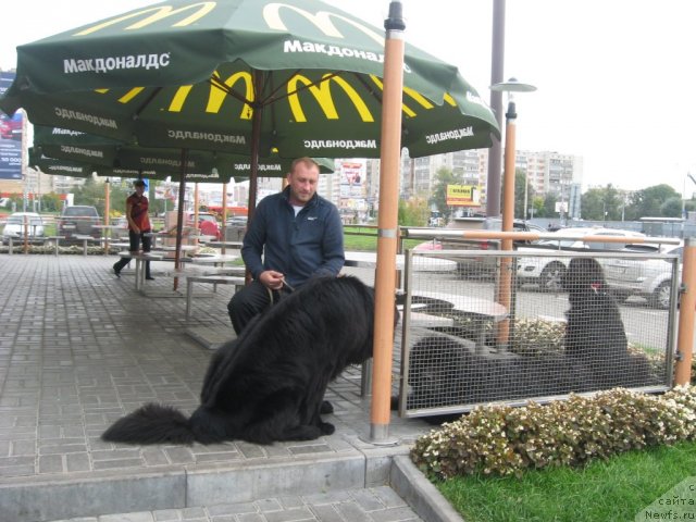 Фотография № 105781